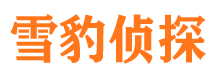 石渠市婚姻出轨调查